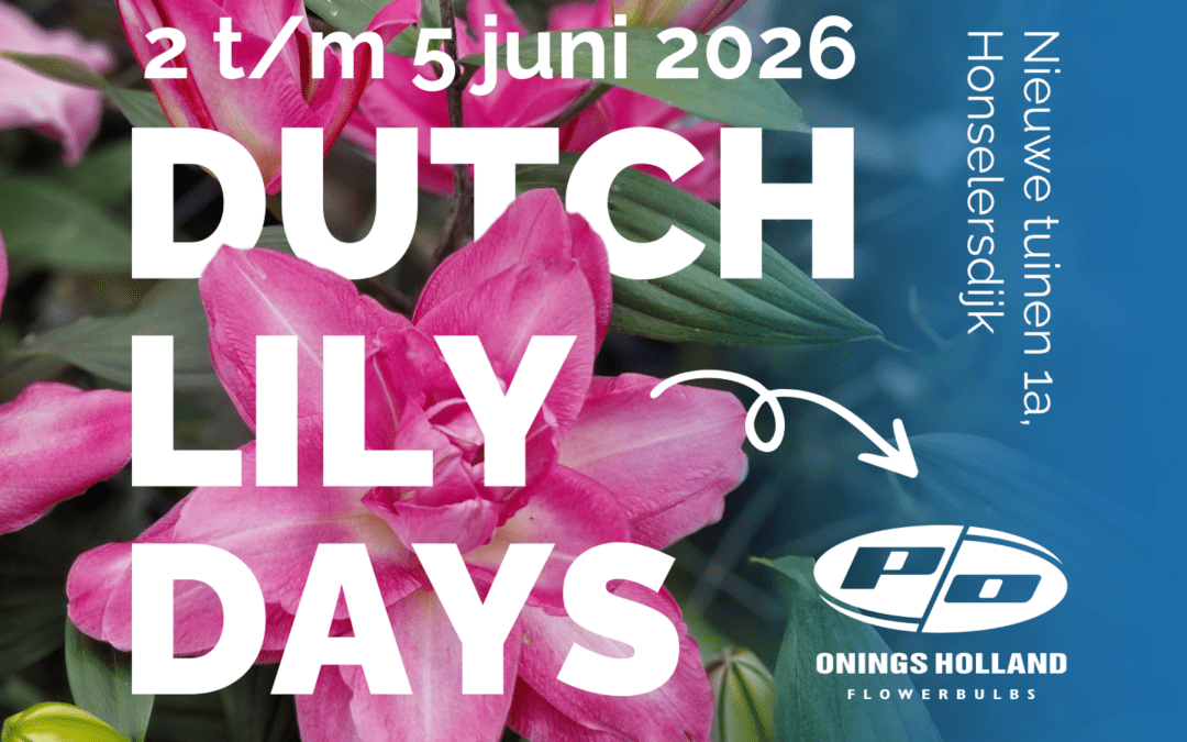 Dutch Lily Days bij Onings: bekijk en vergelijk het grootste assortiment lelies ter wereld in bloei