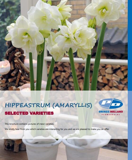 Amaryllis brochure 2021 online￼