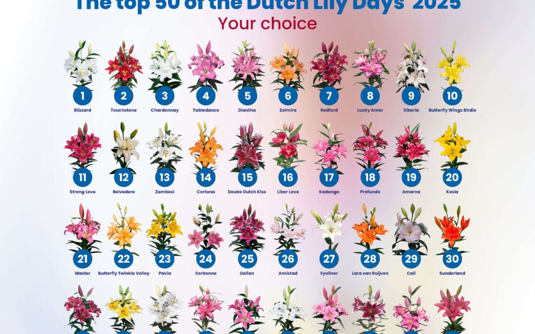 Lily League® 2025 bevestigt trends met een krachtige top 50